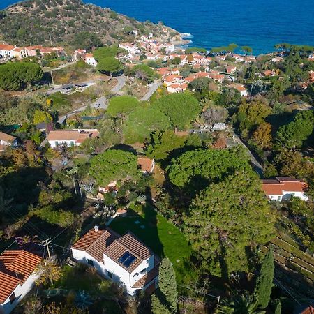 Villa Caterina Quiete E Mare-Goelba SantʼAndrea Exterior foto
