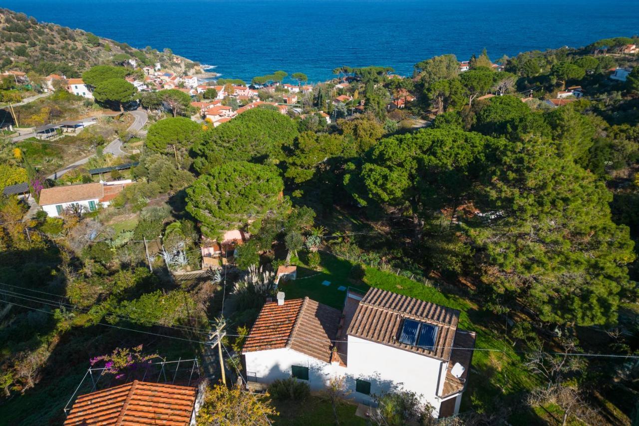 Villa Caterina Quiete E Mare-Goelba SantʼAndrea Exterior foto